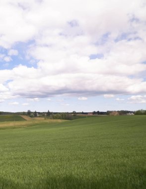 Kashubia bölgesindeki yeşil alanlar, Kuzey Polonya. Bulutlu bir gün, seyahat ve doğa konsepti.