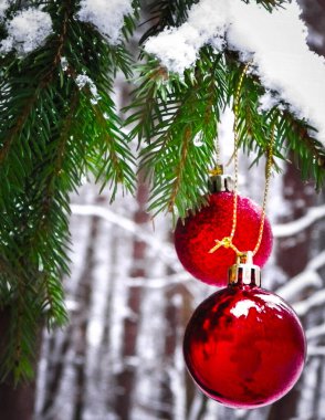 Ladin ağacının dalında kırmızı noel topları. Mavi arkaplanda boşluk kopyala.