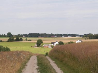 Kashubia 'daki tarlaların üzerinden. Polonya. Turistik konsept - seyahat ve doğa konsepti.