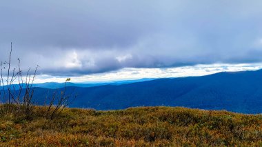 Landscape of Bieszczady Mountains which is northern part of Carpatian Mountains. Beauty of nature. clipart