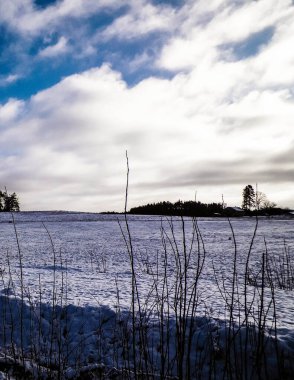 Kış. Kuzey Polonya 'nın Kashubian bölgesinde çayırlarda kar. Seyahat ve doğa kavramı.