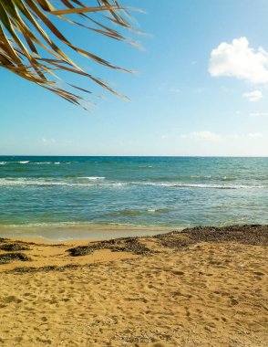 Paphos City yakınlarındaki tropik plaj, Kıbrıs adası. Boşluğu mavi gökyüzünde kopyala - bir kartpostal için iyi bir arkaplan.