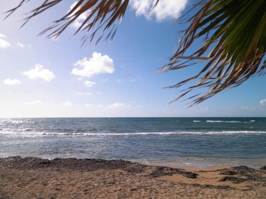 Paphos City yakınlarındaki tropik plaj, Kıbrıs adası. Boşluğu mavi gökyüzünde kopyala - bir kartpostal için iyi bir arkaplan.