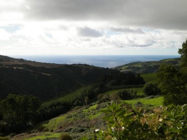 Tipik Azores manzarası. Arka planda doğal yeşil arazi tepeleri ve deniz. Doğanın güzelliği konsepti.