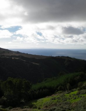 Tipik Azores manzarası. Arka planda doğal yeşil arazi tepeleri ve deniz. Doğanın güzelliği konsepti.