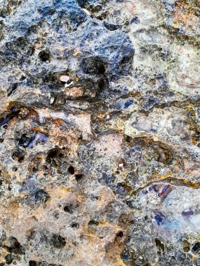 Doğal bir arka plan olarak kıyı kayaları ve deniz suyu. Boşluğu kopyala.