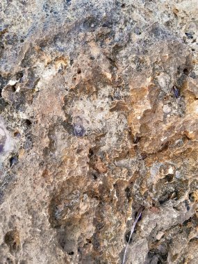 Doğal bir arka plan olarak kıyı kayaları ve deniz suyu. Boşluğu kopyala.