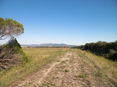 Toskana, arka planda çayır ve Apeninlerin manzarası. İtalya, Toskana 'da yaz.