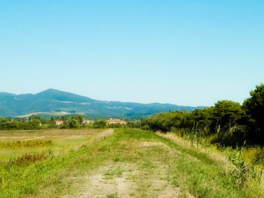Toskana, arka planda çayır ve Apeninlerin manzarası. İtalya, Toskana 'da yaz.
