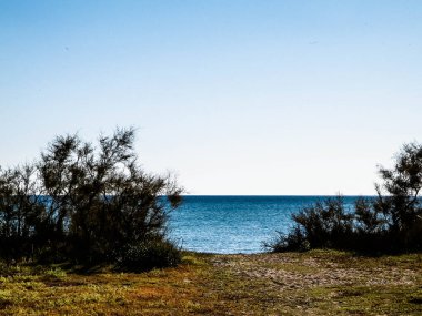 Akdeniz, doğa, Vada şehrine yakın. Mavi gökyüzü arka planında Tyrhenian deniz kıyısı. Tatiller ve doğa konsepti. Boşluğu mavi gökyüzünde kopyala.