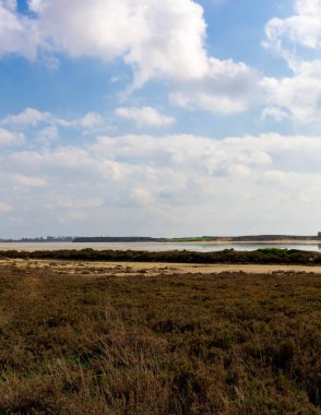 Larnaca, Kıbrıs 'ın Larnaca şehrine yakın bir tuz gölüdür. Burası popüler bir turistik mekan..