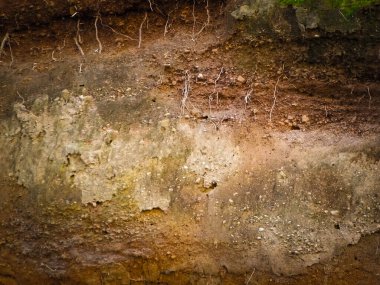 Toprak doğal bir arka plan. Boşluğu kopyala.