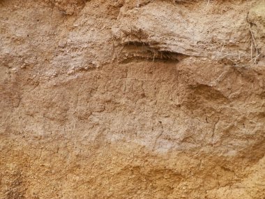 Toprak doğal bir arka plan. Boşluğu kopyala.