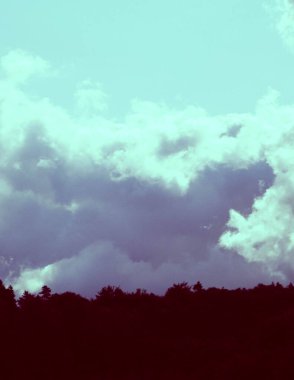 Soyut fotoğraf - Orman ve bulutlu gökyüzü. Boşluğu kopyala.