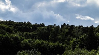 Soyut fotoğraf - Orman ve bulutlu gökyüzü. Boşluğu kopyala.