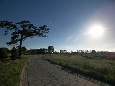 Kashubian köyünün açıklarında. Kashubia, güzel doğasıyla bilinen kuzey Polonya 'nın bir parçasıdır. Kozalaklı ağaç ve köy yolu, yaz mevsimi, güzel Polonya ortamı.