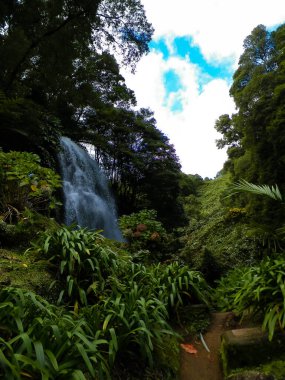 Azores 'de inanılmaz bir şelale. Sao Miguel Adası. Doğanın güzelliği.