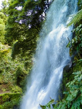 Azores 'de inanılmaz bir şelale. Sao Miguel Adası. Doğanın güzelliği.