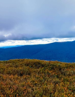 Landscape of Bieszczady Mountains which is northern part of Carpatian Mountains. Beauty of nature. clipart