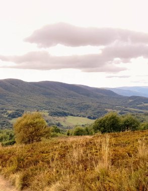 Bieszczady Dağları, Karpatian Dağları 'nın kuzey kesiminde yer alır. Doğanın güzelliği.