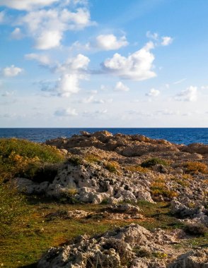 Kıbrıs Rum Kesimi 'nin Coral Bay yakınlarındaki kıyı bölgesinde. Saf doğa..