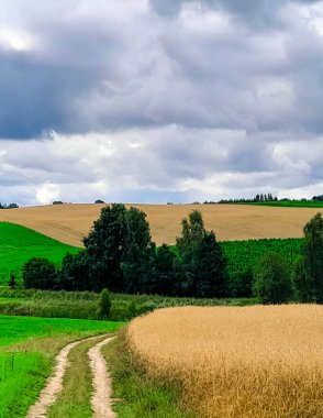 Fırtına geliyormuş. Kashubian çayırlarının üzerinde bulutlu bir gökyüzü. Saf doğa, Kuzey Polonya 'nın güzel manzarası. Pomeranya 'daki Kashyubia Bölgesi.