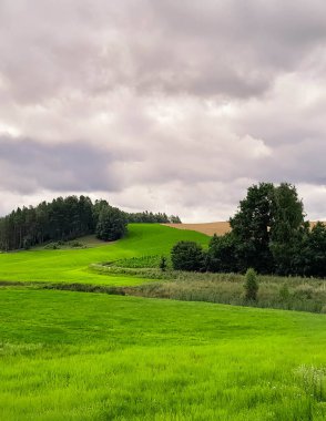 Fırtına geliyormuş. Kashubian çayırlarının üzerinde bulutlu bir gökyüzü. Saf doğa, Kuzey Polonya 'nın güzel manzarası. Pomeranya 'daki Kashyubia Bölgesi.