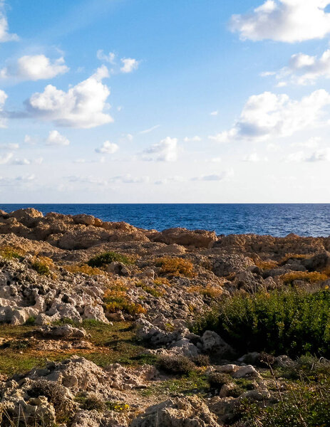 Coastal area in Cyprus near Coral Bay. Pure nature.