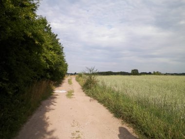 Road over fields in Kashubia. Poland. Touristic concept - travel and nature concept. clipart