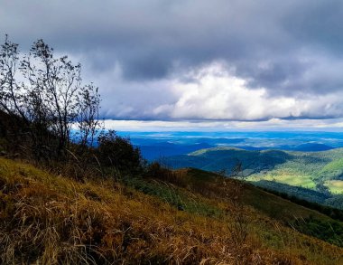 Dağın tepesinden Bieszczady 'nin güzel manzarası. Dağ turizmi.
