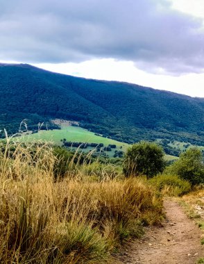 Bieszczady dağlarının güzel manzarası. Karpatlar. Doğanın güzelliği.