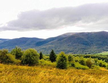 Bieszczady dağlarının güzel manzarası. Karpatlar. Doğanın güzelliği.