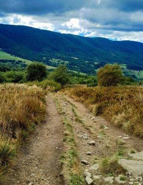 Dağın tepesinden Bieszczady 'nin güzel manzarası. Dağ turizmi.