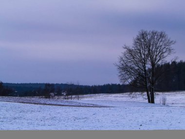 Kashubian çayırlarında kış, Polonya doğası. Kış mevsimi konsepti, bulutlu gökyüzünde kopya alanı.