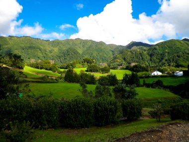 Sao Miguel Adası 'nda dağın tepesinde. Azores. Doğanın güzelliği.