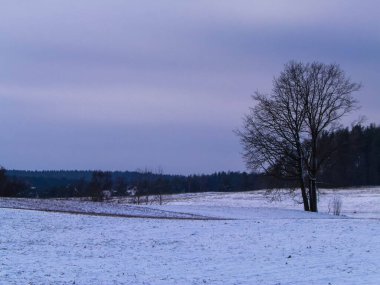 Kashubian çayırlarında kış, Polonya doğası. Kış mevsimi konsepti, bulutlu gökyüzünde kopya alanı.