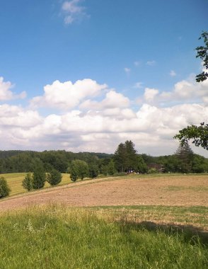Wiezyca Kashubia bölgesinin tepeleri ve tarlaları, Polonya. Seyahat ve doğa kavramı.
