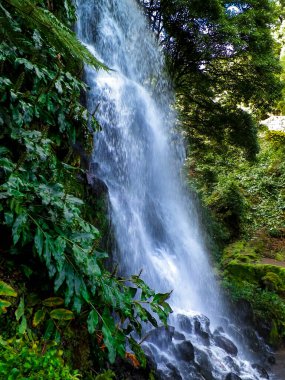 Azores 'de inanılmaz bir şelale. Sao Miguel Adası. Doğanın güzelliği.