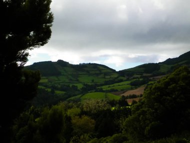 Azores adaları Sao Miguel 'in vahşi doğası. Dağlar, otlaklar, çayırlar ve tropikal ormanlar. Azores Portekiz 'in otonom bölgesi olan küçük bir takımadalardır..