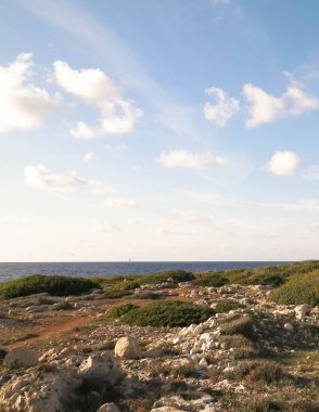 Kıbrıs Rum Kesimi 'nin Coral Bay yakınlarındaki kıyı bölgesinde. Saf doğa..