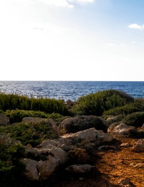 Kıbrıs Rum Kesimi 'nin Coral Bay yakınlarındaki kıyı bölgesinde. Saf doğa..