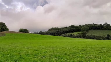 Polonya 'nın Bieszczady Dağları' ndaki yeşil çayır. Kuzey Karpatça.