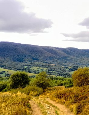 Bieszczady Dağları, Karpatian Dağları 'nın kuzey kesiminde yer alır. Doğanın güzelliği.