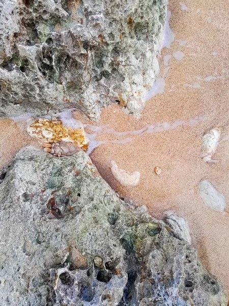 Doğal bir arka plan olarak kıyı kayaları ve deniz suyu. Boşluğu kopyala.