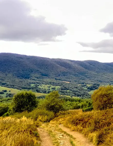 Bieszczady Dağları, Karpatian Dağları 'nın kuzey kesiminde yer alır. Doğanın güzelliği.