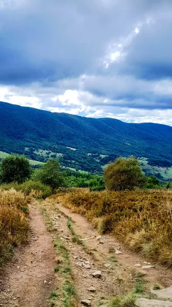 Dağın tepesinden Bieszczady 'nin güzel manzarası. Dağ turizmi.