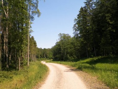 Kashubia 'da ormanın üzerindeki yol. Polonya. Kuzey Polonya 'nın güzel doğası.