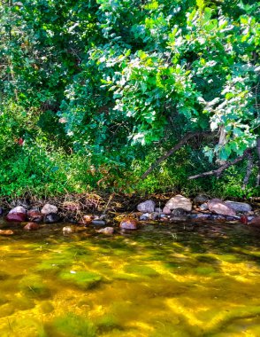 Oslonino yakınlarındaki Pucka Körfezi 'nin kıyı bölgesi. Polonya saf doğa.