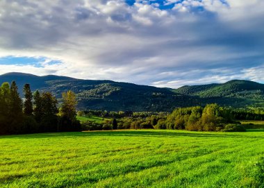 Polonya 'nın Bieszczady Dağları' ndaki yeşil çayır. Kuzey Karpatça.