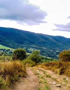 Bieszczady dağlarının güzel manzarası. Karpatlar. Doğanın güzelliği.